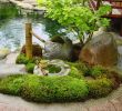 Japanischer Garten Anlegen &amp; Gestalten Luxus Ein Japanischer Garten Gestalten Praktische Tipps Und