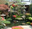 Japanischer Garten Anlegen &amp; Gestalten Luxus Kiesgarten Anlegen Japanischer Garten Gestalten Innen Und