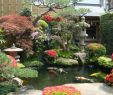 Japanischer Garten Anlegen &amp; Gestalten Luxus Kiesgarten Anlegen Japanischer Garten Gestalten Innen Und
