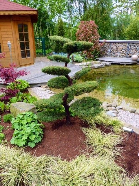 Japanischer Garten Anlegen &amp; Gestalten Luxus Kleinen Japanischen Garten Anlegen Google Search