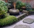 Japanischer Garten Anlegen &amp; Gestalten Neu Traditional Japanese Courtyard