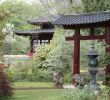 Japanischer Garten Anlegen &amp; Gestalten Schön 37 Das Beste Von Japanische Gärten Gestalten Inspirierende