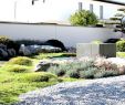 Japanischer Garten Anlegen &amp; Gestalten Schön Japanischen Garten Anlegen Pflegen Und Gestalten