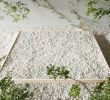 Japanischer Garten Anlegen &amp; Gestalten Schön Japanischer Garten 10 Ideen Zum Anlegen Und Gestalten