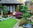 Japanischer Garten Anlegen &amp; Gestalten Schön Kleinen Japanischen Garten Anlegen Google Search