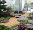 Japanischer Garten Anlegen &amp; Gestalten Schön Small Japanese Garden Landscape asian with Bonsai London