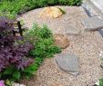Japanischer Garten Anlegen &amp; Gestalten Schön so Legen Sie Einen Kleinen Japanischen Garten An Tipps
