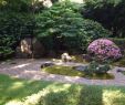 Japanischer Garten Anlegen &amp; Gestalten Schön Zen Garten Anlegen so Schaffen Sie Einen Harmonischen