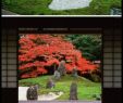 Japanischer Garten Düsseldorf Inspirierend 61 Best Japanese Rock Garden Images