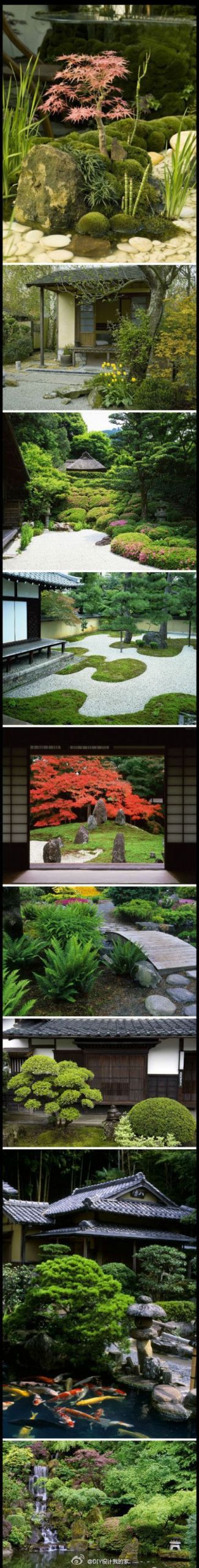 Japanischer Garten Düsseldorf Inspirierend 61 Best Japanese Rock Garden Images