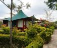 Japanischer Garten Düsseldorf Inspirierend Aa Lodge Masai Mara Rooms & Reviews Tripadvisor