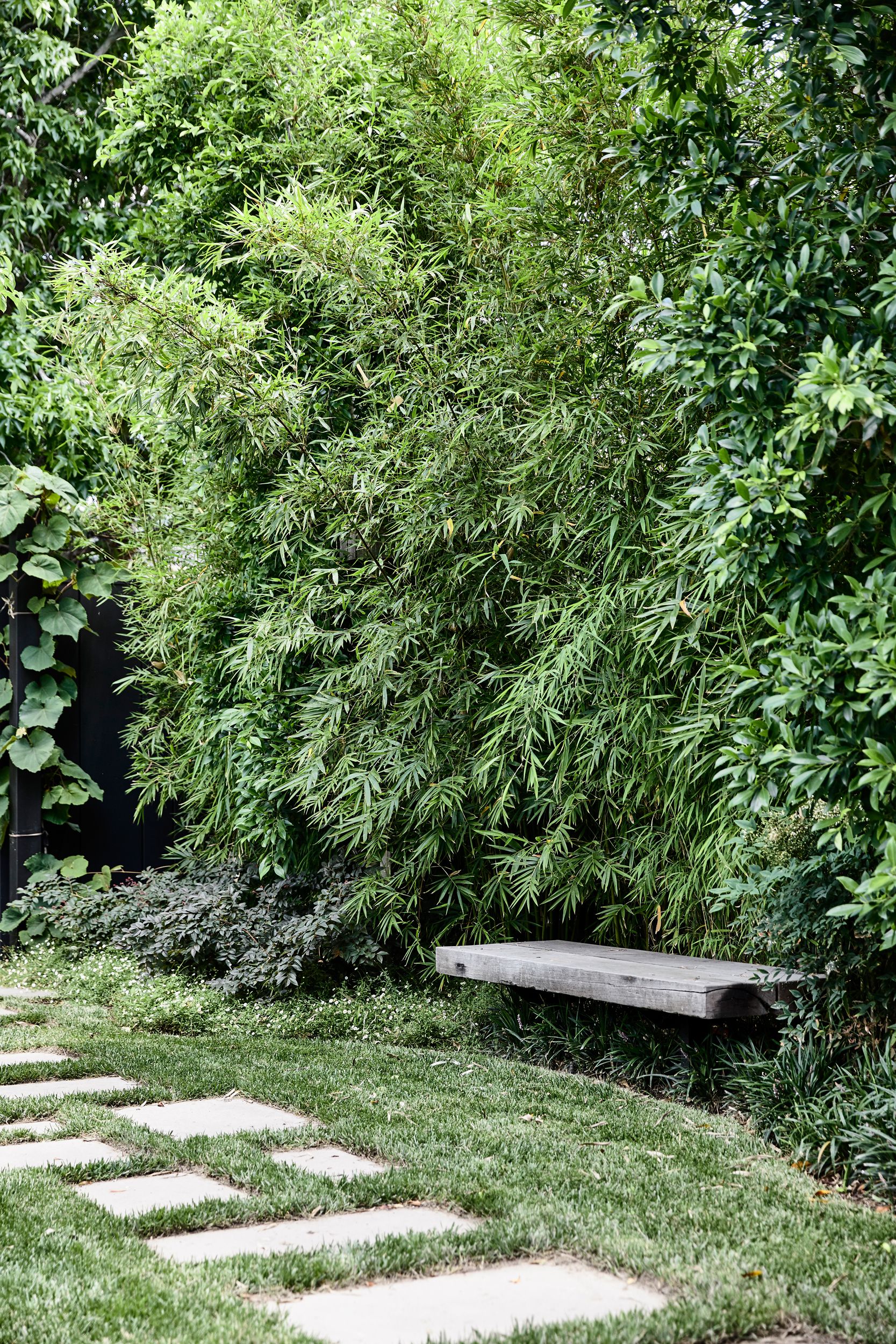 Japanischer Garten Düsseldorf Luxus 254 Best Bamboe Bamboo Images In 2020