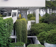 Japanischer Garten Düsseldorf Neu 276 Best Inspiration Architecture Images In 2020