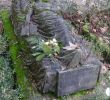 Japanischer Garten Freiburg Einzigartig Alter Friedhof Freiburg Im Breisgau Tripadvisor