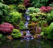 Japanischer Garten Freiburg Schön 113 Best Japanese Gardens Images