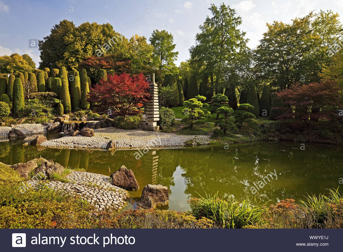 japanese garden rheinaue bonn rhineland north rhine westphalia germany europe WWYE1J