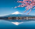 Japanischer Garten Kaiserslautern Frisch 3d Fototapete Bergsee In Japan Fuji Vulkan