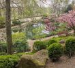 Japanischer Garten Kaiserslautern Frisch File Blick Auf Den Oberen Teich Japanischer Garten