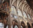 Japanischer Garten Kaiserslautern Genial File Nave organ and Stained Glass Windows Of Strasbourg