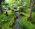 Japanischer Garten München Best Of 109 Best Stone River Images