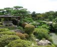 Japanischer Garten München Best Of Hofu 2020 Best Of Hofu Japan tourism Tripadvisor
