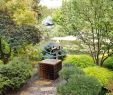 Japanischer Garten München Inspirierend Kasugai Japanese Garden Kelowna All You Need to Know