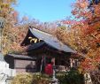 Japanischer Garten München Inspirierend Wakamatsu Ji Temple Tendo 2020 All You Need to Know