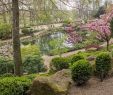 Kaiserslautern Japanischer Garten Luxus File Blick Auf Den Oberen Teich Japanischer Garten