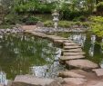 Kaiserslautern Japanischer Garten Luxus File Trittsteine Am Oberen Teich Japanischer Garten
