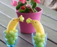 Kindergeburtstag Im Garten Schön Bananendelfine Für Frühstückstisch Oder Kinderfest Alles Im