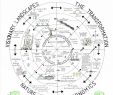Kleine Garten Gestalten Frisch Ecological Design Mandala by Prof John todd whoa Melissa