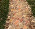 Kleine Garten Gestalten Inspirierend My Neighbor Built This Plex Brick Path