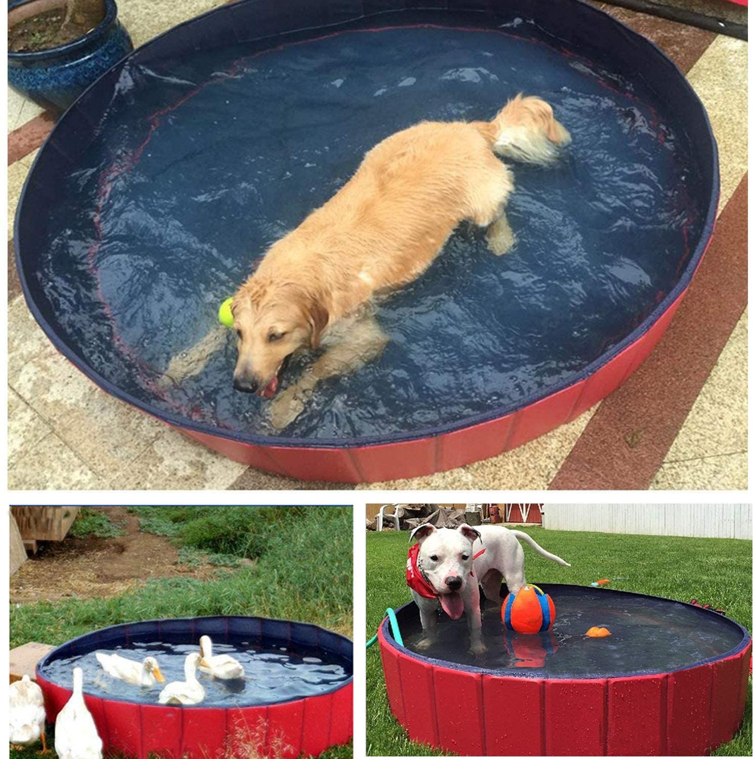Kleiner Garten Mit Pool Best Of forever Speed Dog Pool Foldable Pet Pool Portable Swimming Pool Padding Pool Bathing Tub In Safty Pvc Red 16030cm