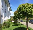 Kleiner Garten Mit Pool Frisch Apartment & House for Rent In Worben