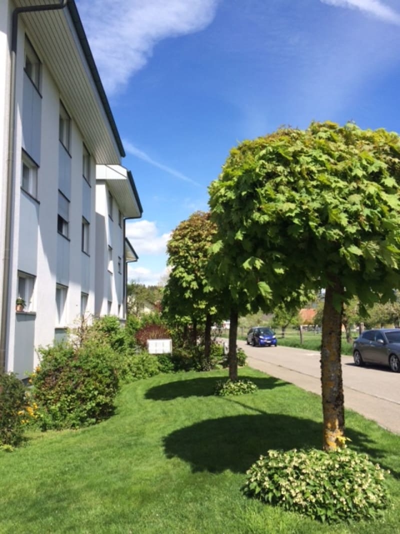 Kleiner Garten Mit Pool Frisch Apartment & House for Rent In Worben