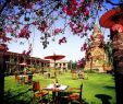 Kleiner Garten Mit Pool Inspirierend Hotel Reviews Of Thazin Garden Hotel Bagan Myanmar Page 1