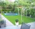 Kleiner Garten Ohne Rasen Best Of 34 Elegant Sichtschutz Kleiner Garten Inspirierend