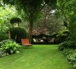 Kleiner Garten Ohne Rasen Genial Moderne Gartengestaltung Mit Pflanzen