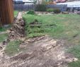 Kleiner Garten Ohne Rasen Inspirierend Gartenholzhaus Bauanleitung Zum Selberbauen 1 2 Do