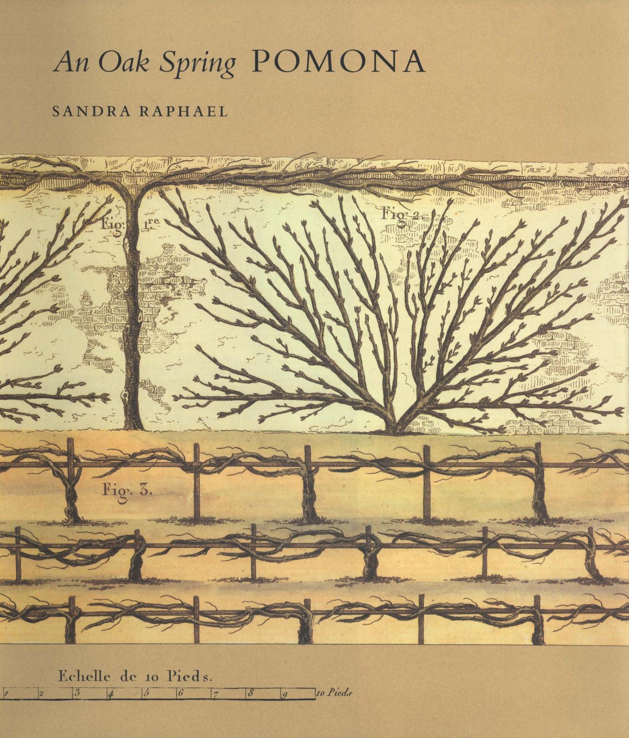 Kot Im Garten Von Welchem Tier Einzigartig An Oak Spring Pomona by Oak Spring Garden Foundation issuu