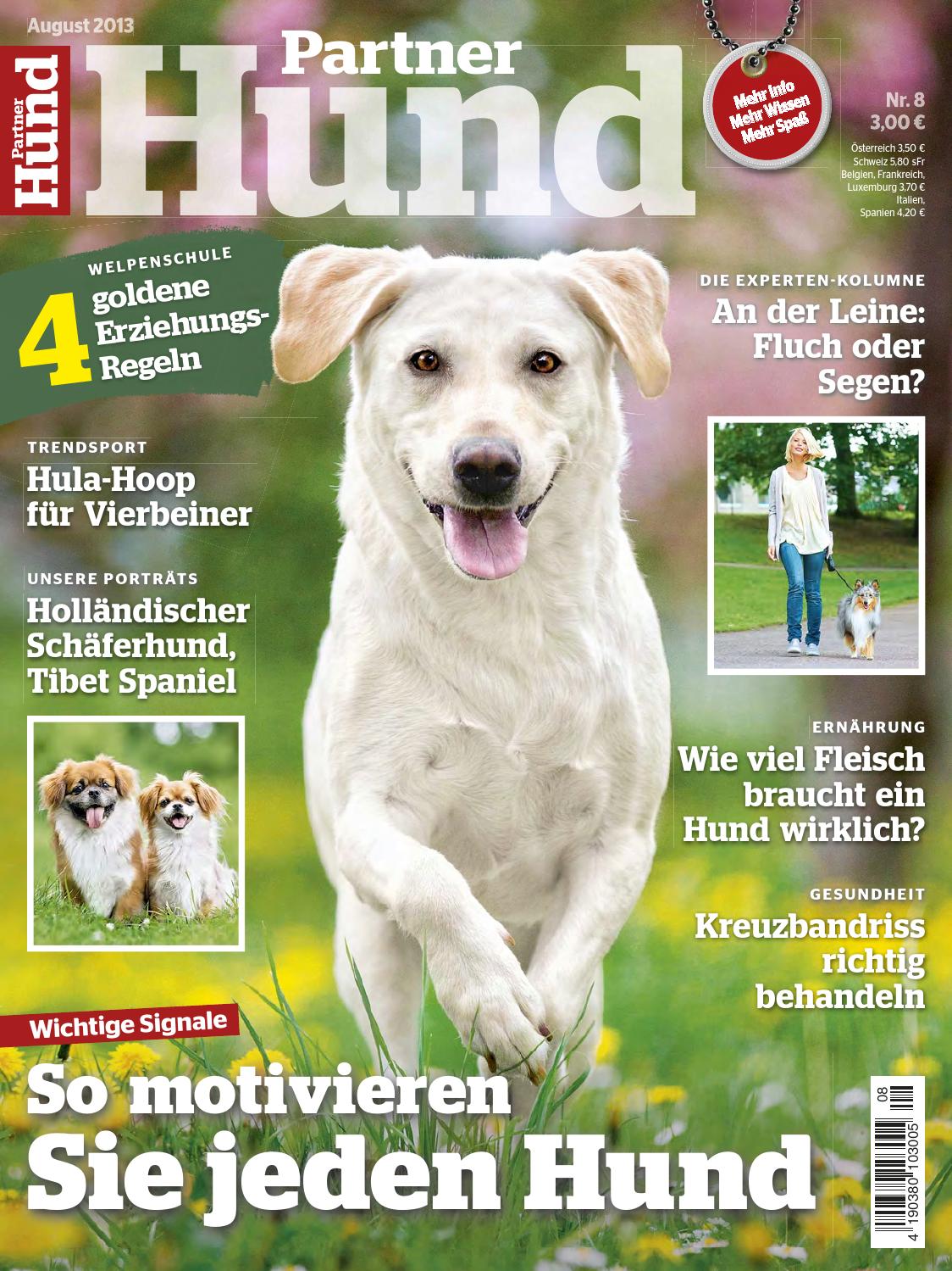 Kot Im Garten Von Welchem Tier Schön Partner Hund August 2013 by Triendl Peter Paul issuu