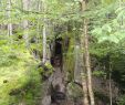 Kramer Garten Inspirierend New Hampshire the Wolf S Den the Flume Gorge