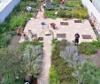Kramer Garten Luxus 110 Best Green Roof Images