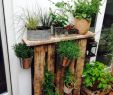 Kreative Ideen Gartendeko Holz Einzigartig Holz Deko Selbstgemacht