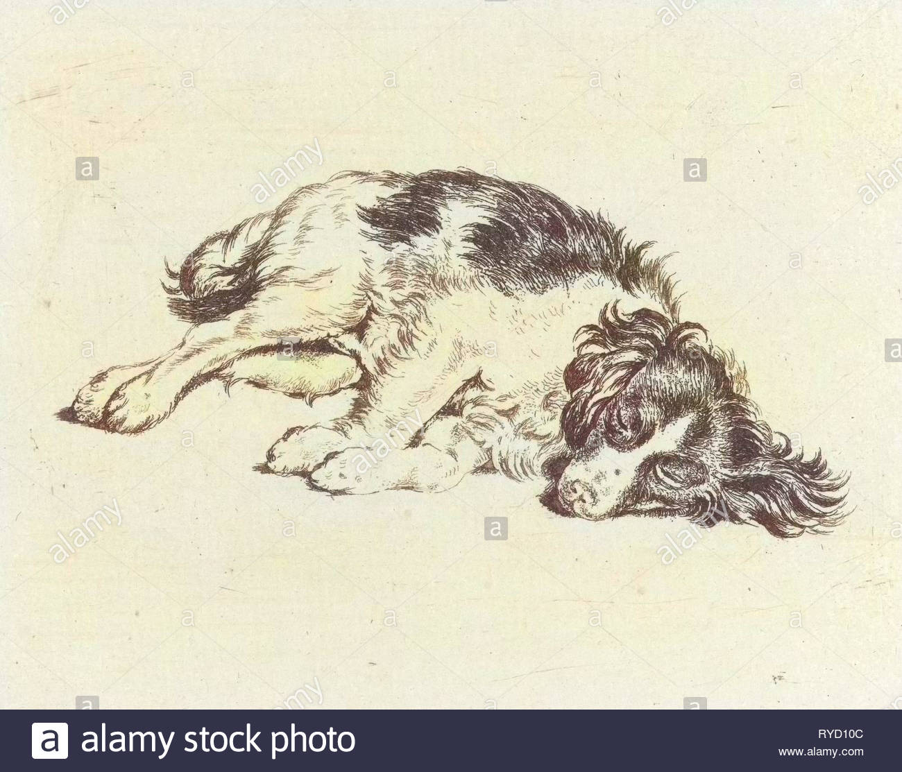 sleeping dog hendrik godart de mare 1752 1783 RYD10C