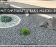 Leisewitz Garten Celle Neu Elegant Garten Mit Steinen Anlegen Beste