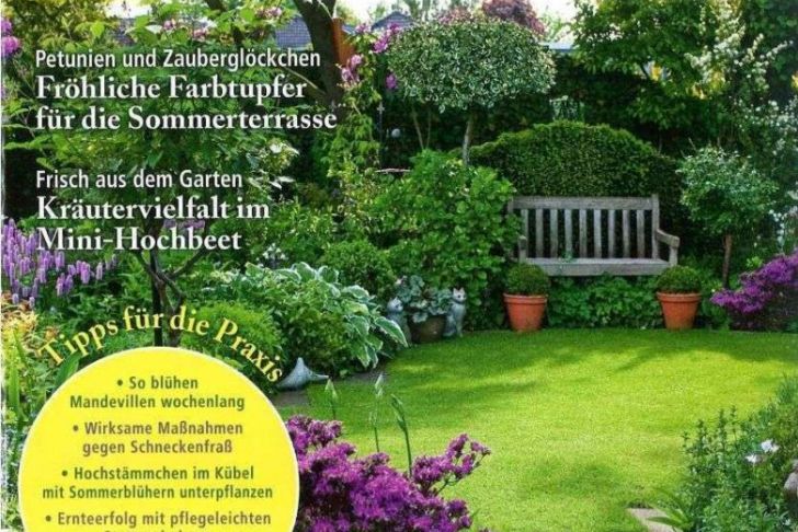 Mein Schöner Garten Abo Elegant Tapeten Schöner Wohnen Einzigartig 30 Einzigartig Abo Mein