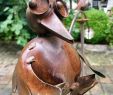 Metall Gartendeko Rost Best Of Komischer Vogel Undenheim Figuren Deko Dekoration