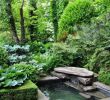 Möbel Und Garten Frisch â· 1001 Idea Dan Gambar Kolam Taman Untuk Taman Impian anda