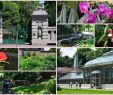 München Botanischer Garten Best Of Jevremovac Botanical Garden Belgrade 2020 All You Need